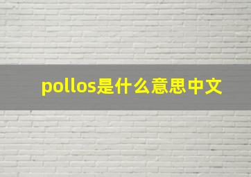 pollos是什么意思中文