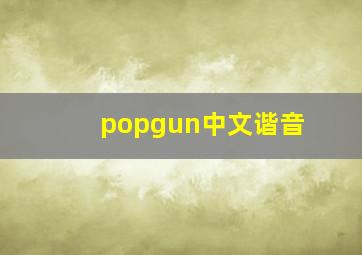 popgun中文谐音