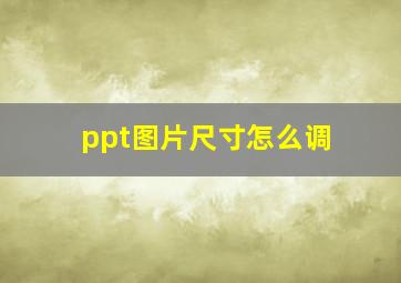 ppt图片尺寸怎么调