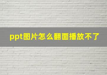 ppt图片怎么翻面播放不了