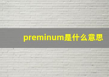 preminum是什么意思