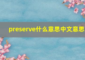 preserve什么意思中文意思