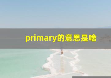 primary的意思是啥