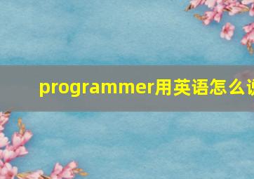 programmer用英语怎么说