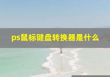 ps鼠标键盘转换器是什么