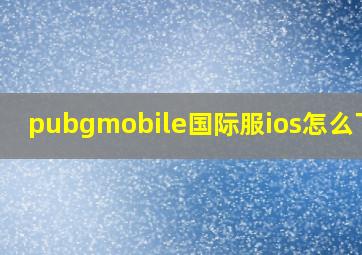 pubgmobile国际服ios怎么下载