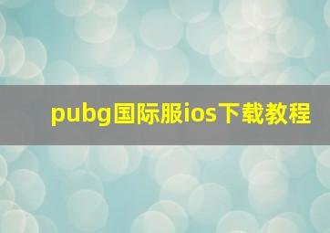 pubg国际服ios下载教程