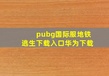 pubg国际服地铁逃生下载入口华为下载