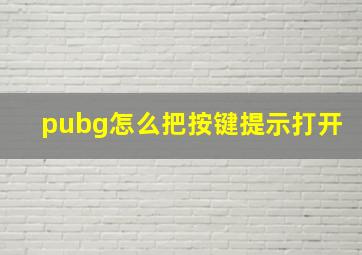 pubg怎么把按键提示打开