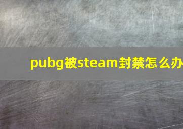 pubg被steam封禁怎么办