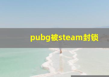 pubg被steam封锁