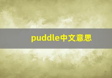 puddle中文意思