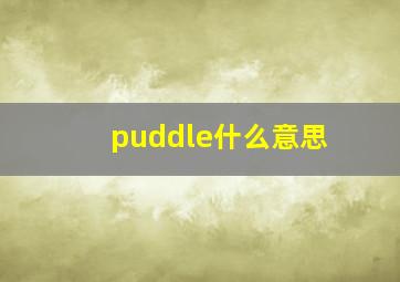 puddle什么意思