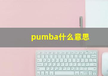 pumba什么意思