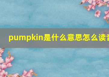 pumpkin是什么意思怎么读音