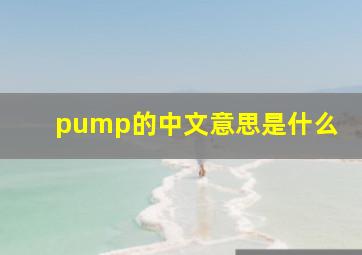 pump的中文意思是什么