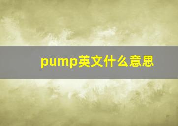 pump英文什么意思