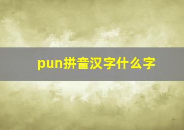 pun拼音汉字什么字