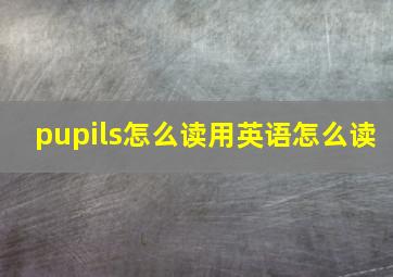 pupils怎么读用英语怎么读