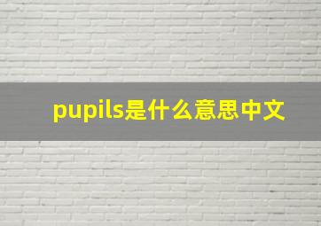 pupils是什么意思中文