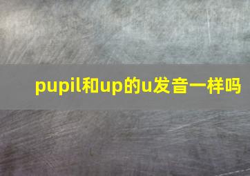 pupil和up的u发音一样吗