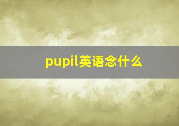 pupil英语念什么