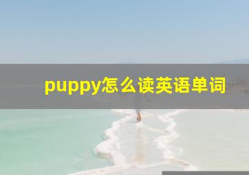 puppy怎么读英语单词