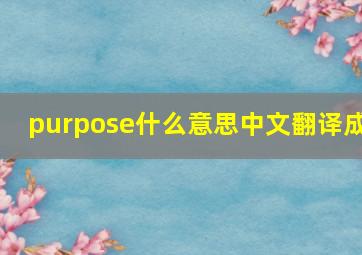 purpose什么意思中文翻译成