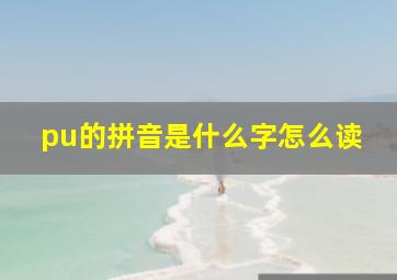 pu的拼音是什么字怎么读