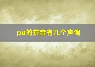 pu的拼音有几个声调