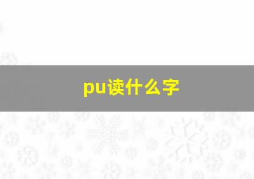 pu读什么字