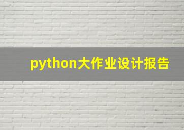 python大作业设计报告