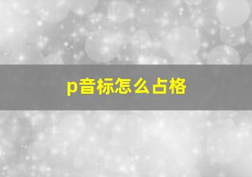 p音标怎么占格