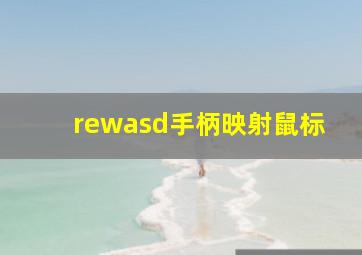 rewasd手柄映射鼠标