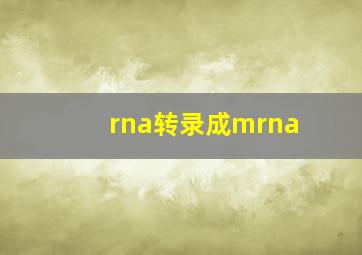 rna转录成mrna