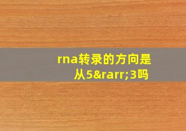 rna转录的方向是从5→3吗