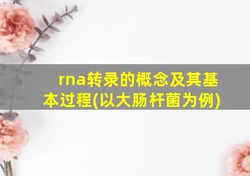 rna转录的概念及其基本过程(以大肠杆菌为例)