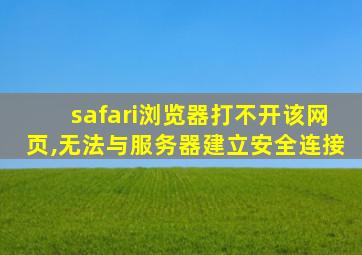 safari浏览器打不开该网页,无法与服务器建立安全连接