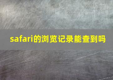 safari的浏览记录能查到吗