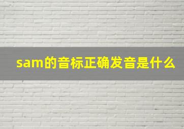 sam的音标正确发音是什么