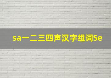 sa一二三四声汉字组词Se