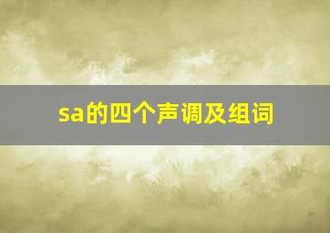 sa的四个声调及组词