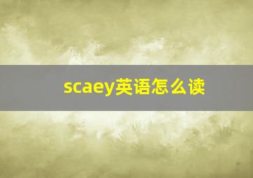 scaey英语怎么读