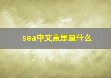 sea中文意思是什么