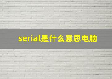 serial是什么意思电脑