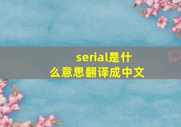 serial是什么意思翻译成中文