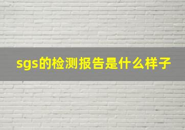 sgs的检测报告是什么样子