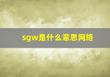 sgw是什么意思网络