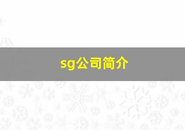 sg公司简介