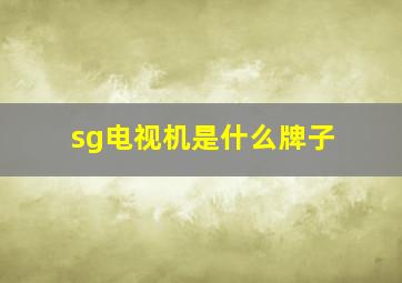 sg电视机是什么牌子